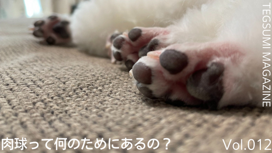 TEGSUMI MAGAZINE Vol.012 ~肉球って何のためにあるの?~