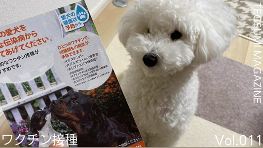 TEGSUMI MAGAZINE Vol.011 ~ワクチン接種~