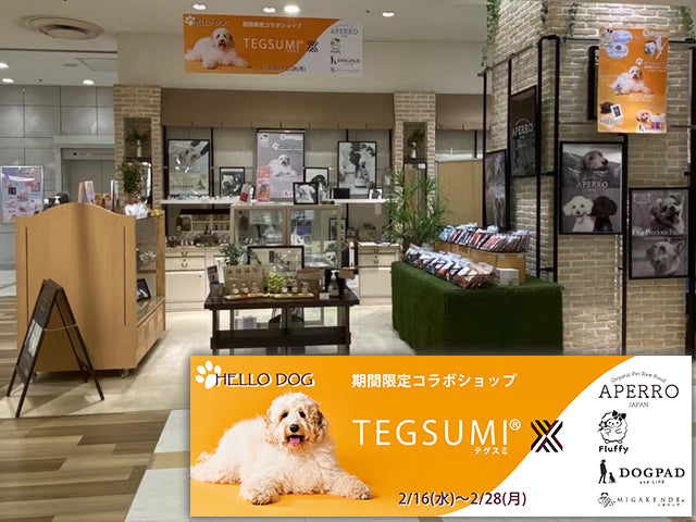 国分寺マルイ コンセプトショップ出店!!