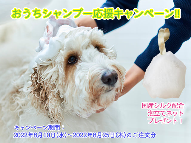 おうちシャンプー応援キャンペーン実施中!