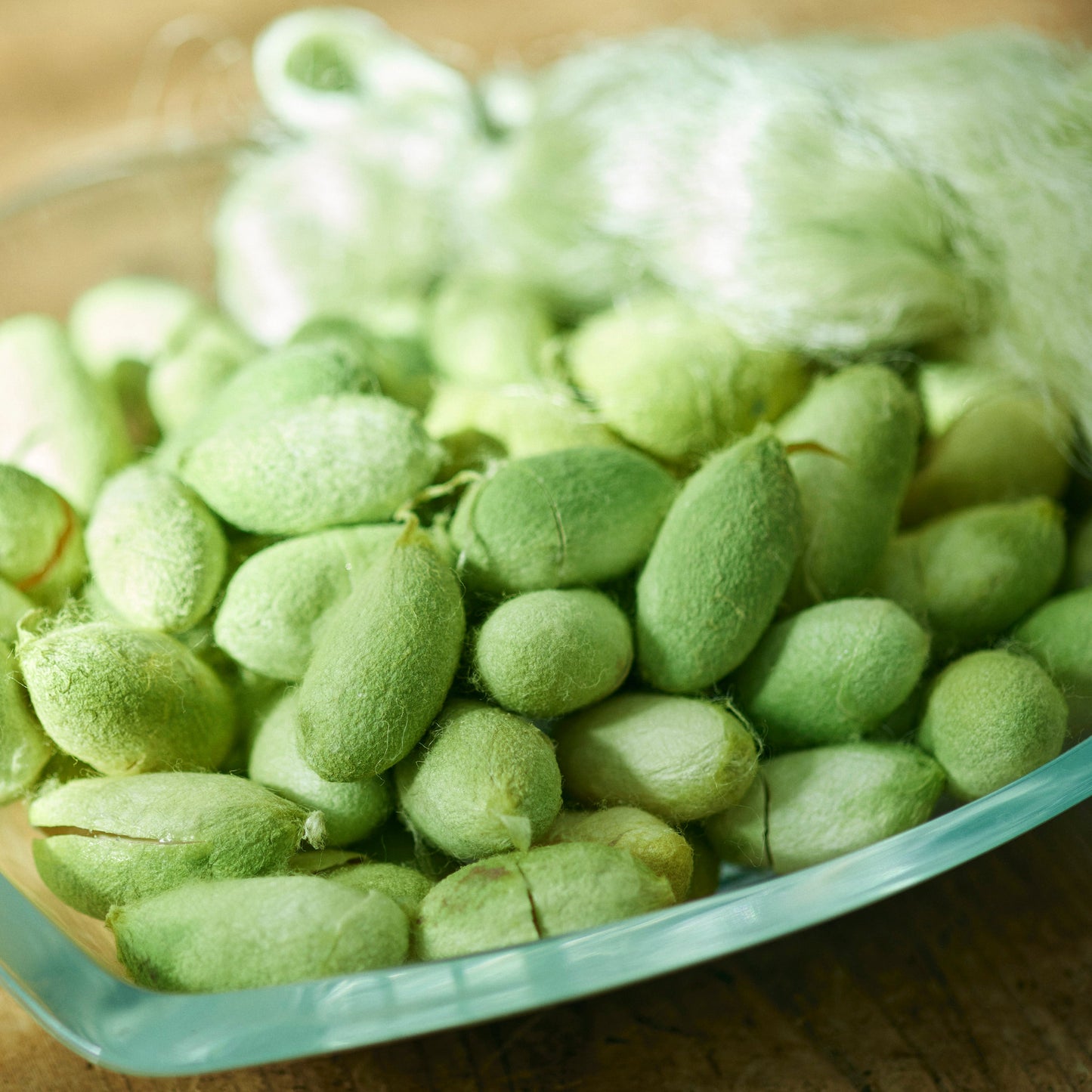 SILKCARE SHAMPOO <詰め替え1000ml>