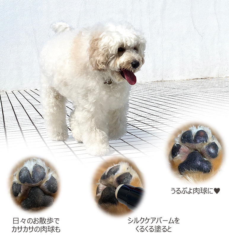 〖数量限定〗Thank You Set