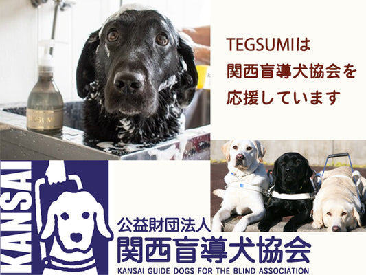 関西盲導犬協会を応援しています