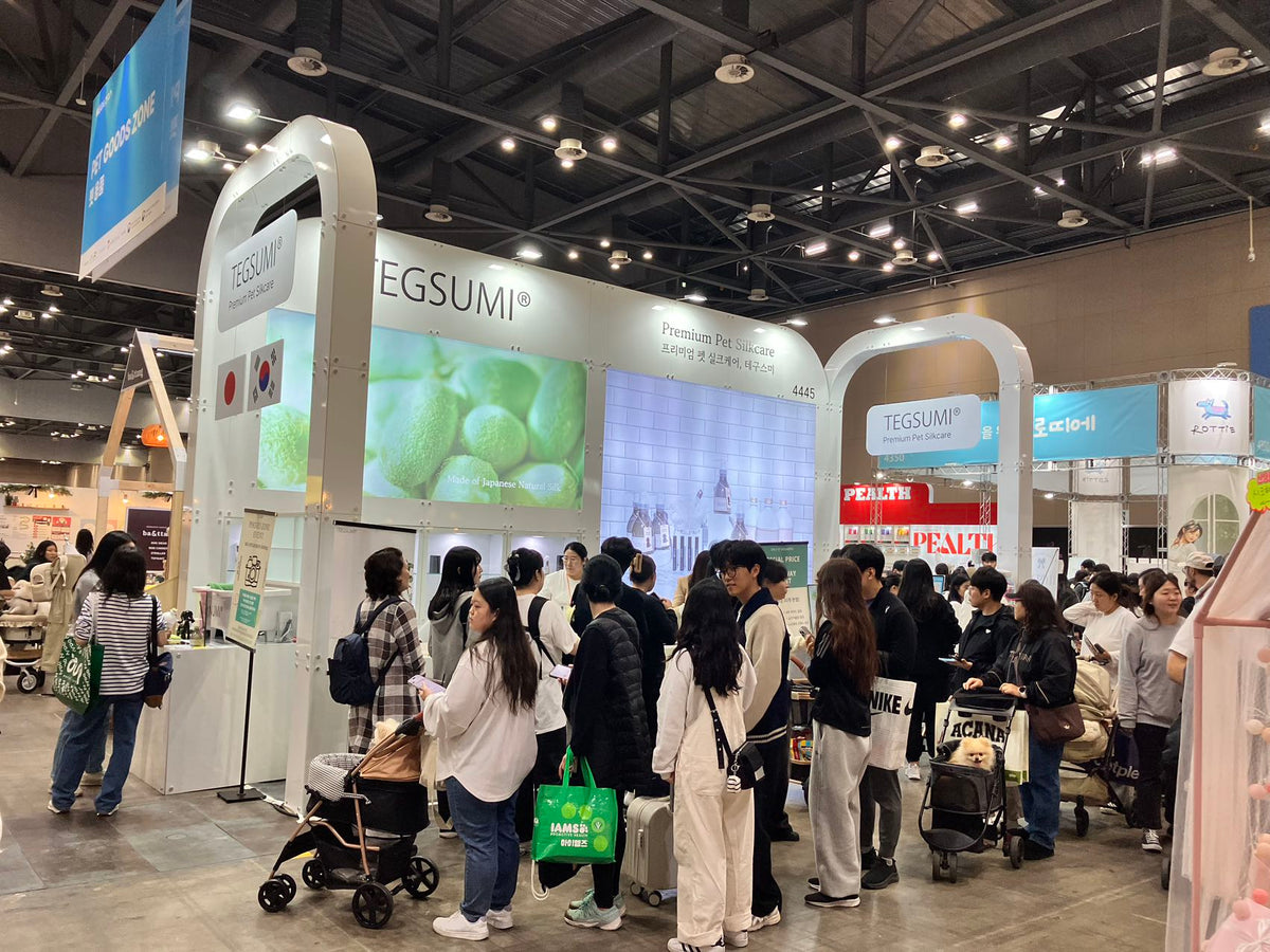 出展報告　韓国展示会「MEGAZOO」