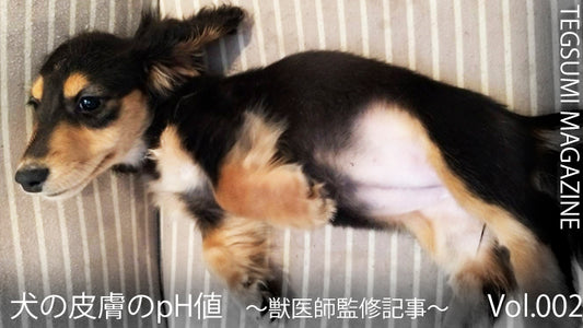 TEGSUMI MAGAZINE Vol.002　～犬の皮膚のpH値/獣医師監修記事～
