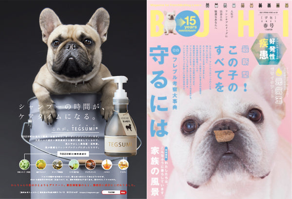 フレブル専門誌『BUHI（ブヒ）』広告掲載