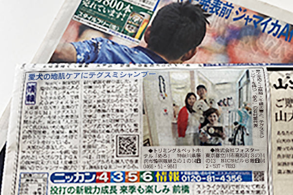 日刊スポーツ新聞に先日のシャンプー教室の記事が掲載されました！