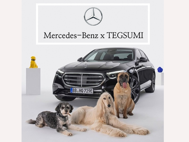 Mercedes-Benz × TEGSUMI