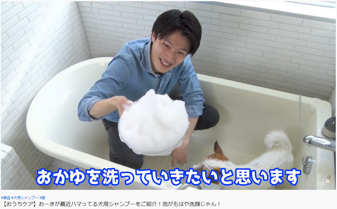 DOGPADさん公式YouTube「おーきチャンネル」