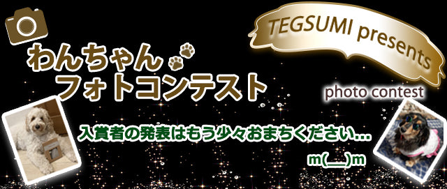 【お詫び】わんちゃんフォトコンテスト入賞者発表につきまして