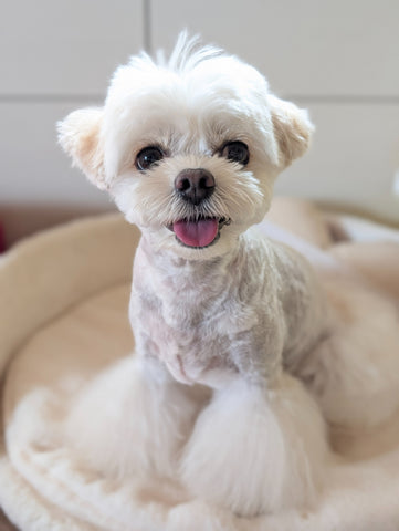 素晴らしいです✨ | #1360805