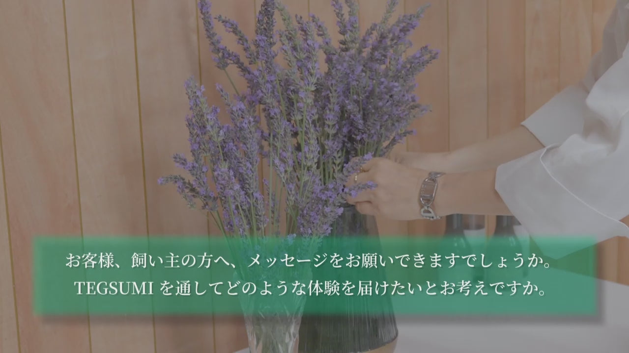 動画を読み込む: 