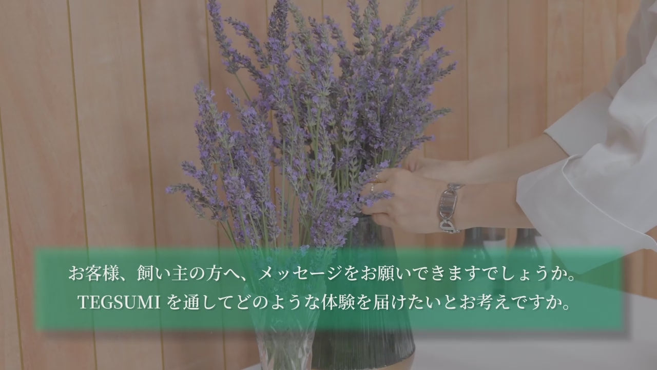 動画を読み込む: 